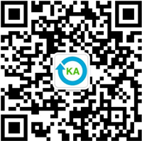 Industrial Software in the Industrial Empire: Glory and Decline