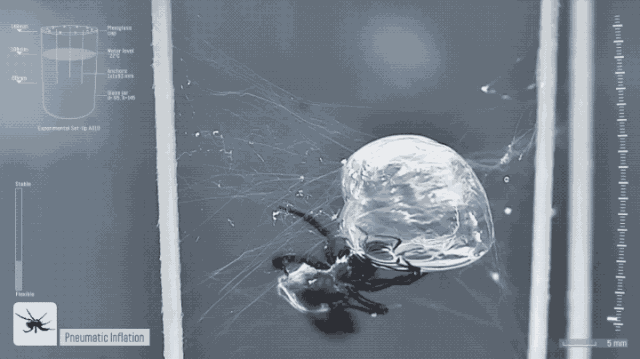 Technology | 17 Must-See Creative Applications of Robotic Arms Worldwide