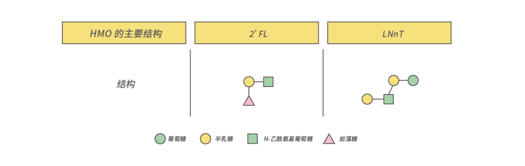 National Health Commission Approves HMOs for Various Infant Formulas: Exploring Nutritional Benefits for Children with Milk Allergy from Breast Milk Oligosaccharide Research