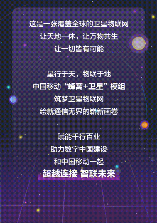 What Kind of 'Network' is Satellite IoT?