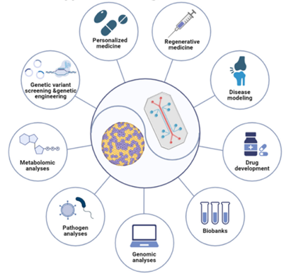Industry Insights | Research Report on AI and Organoids and Organ-on-Chip Technologies