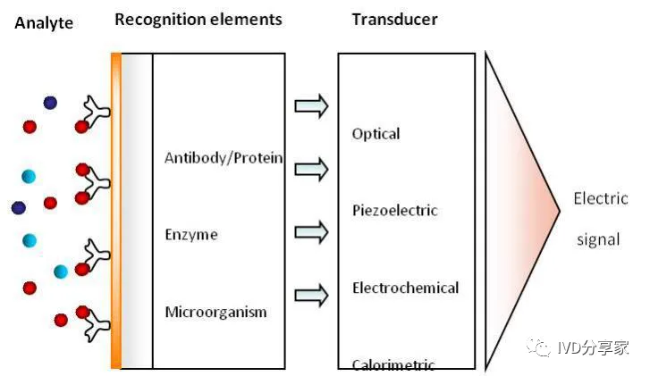Principles of POCT Technology | Chemiluminescence, Biosensors, Microfluidics, Immunochromatography...