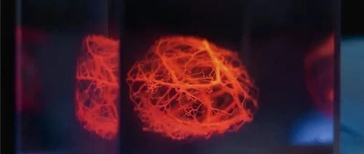 Scientists Successfully 3D Print Vascular Networks for Artificial Organs: Plans to 3D Print Organs in Pigs Within 5 Years