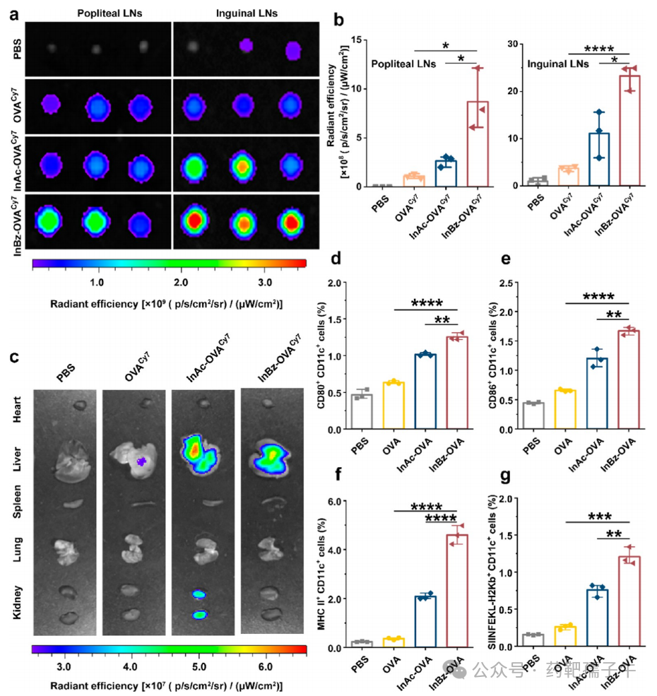 ACS Nano (IF=16.0): Computer-Guided Discovery of Polysaccharide Derivatives as Adjuvants for Cancer Immunotherapy Nanoparticle Vaccines