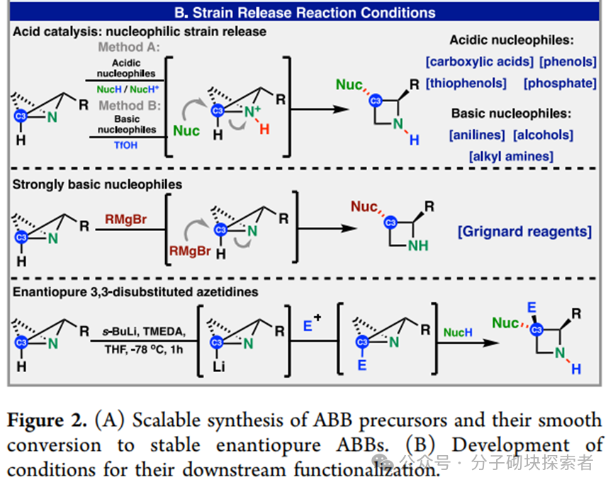 Synthesis of Stereocontrolled Azetidine Library via Strain-Release Functionalization of 1-Azabicyclobutanes