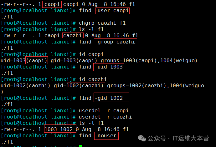 Linux File Search Tools: Locate vs. Find - Which is Your Best Choice?