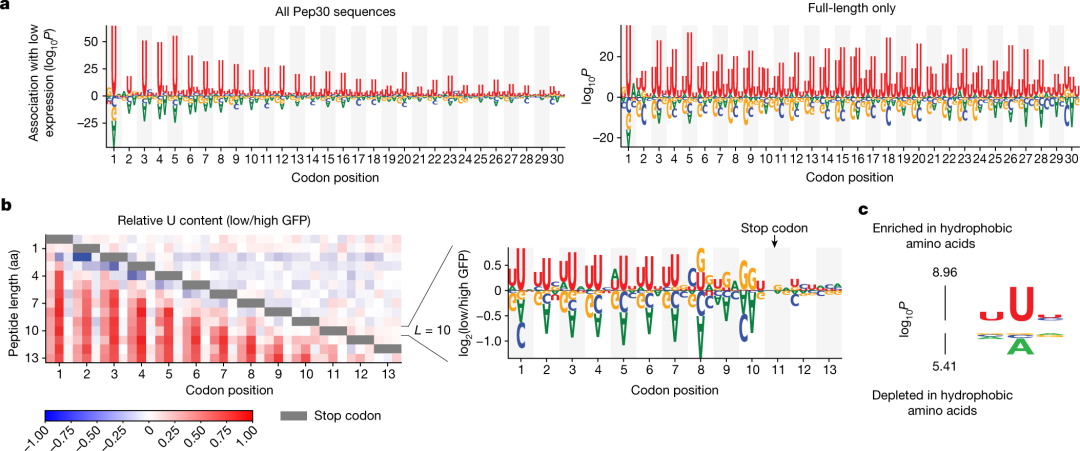 How to Use MATLAB to Retrieve All Illustrations from Nature (Including Images from 2023-2025)