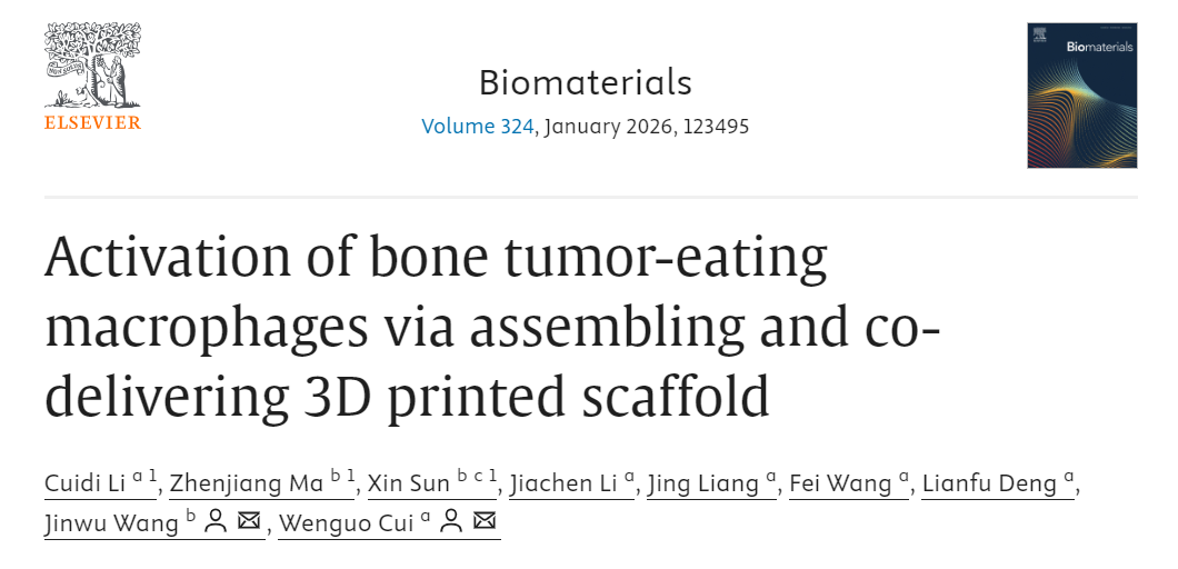 3D Printed Scaffolds Aid in Bone Defect Repair: A Study from Shanghai Jiao Tong University in Biomaterials