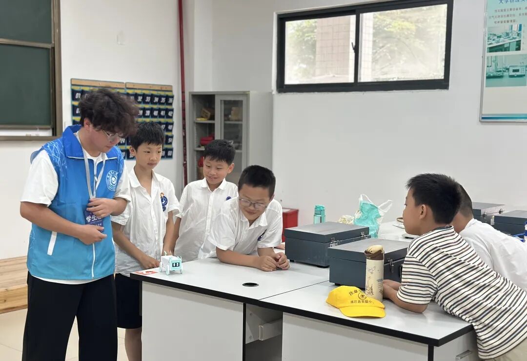 When Elementary School "AI Newbies" Meet University Laboratories