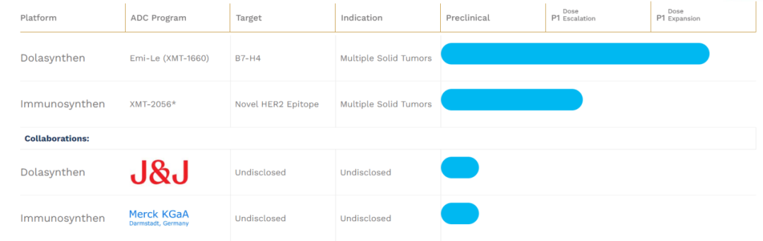 The Predicament of Established ADC Biotech