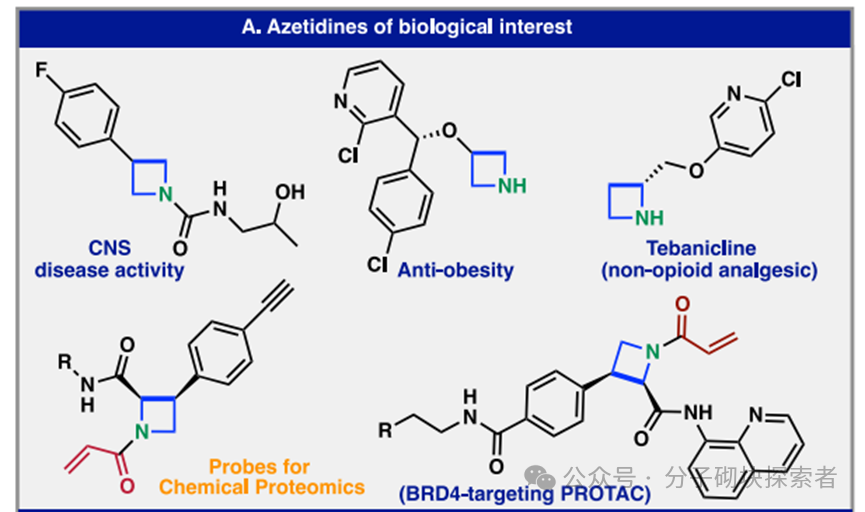 Synthesis of Stereocontrolled Azetidine Library via Strain-Release Functionalization of 1-Azabicyclobutanes