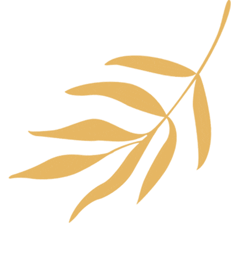 The Colorful Course: The Adventure of Stationery