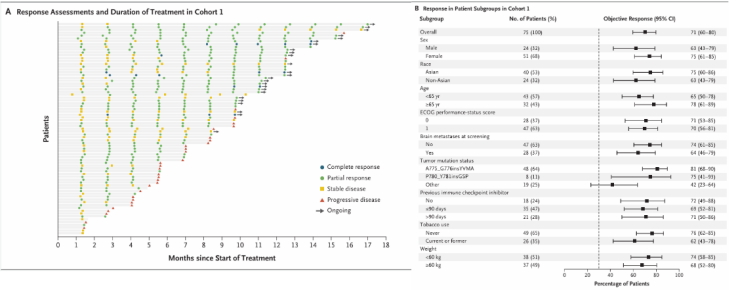 ADC Resistance Overcome: ORR Exceeds 41%! The Potential of HER2 TKI Treatment in HER2+ NSCLC