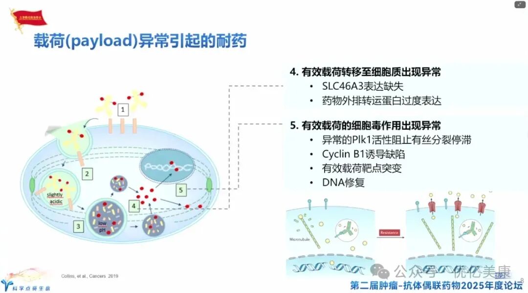 Exploring Solutions to ADC Drug Resistance