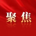 Shunda Port: Equipment Upgrade Drives Dual Improvements in Efficiency and Safety