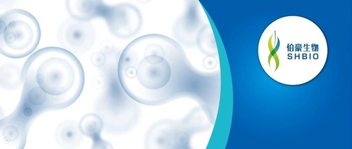 Discovery of an Unconventional Lamprey Lymphocyte Lineage Highlights Divergent Features in Vertebrate Adaptive Immune System Evolution