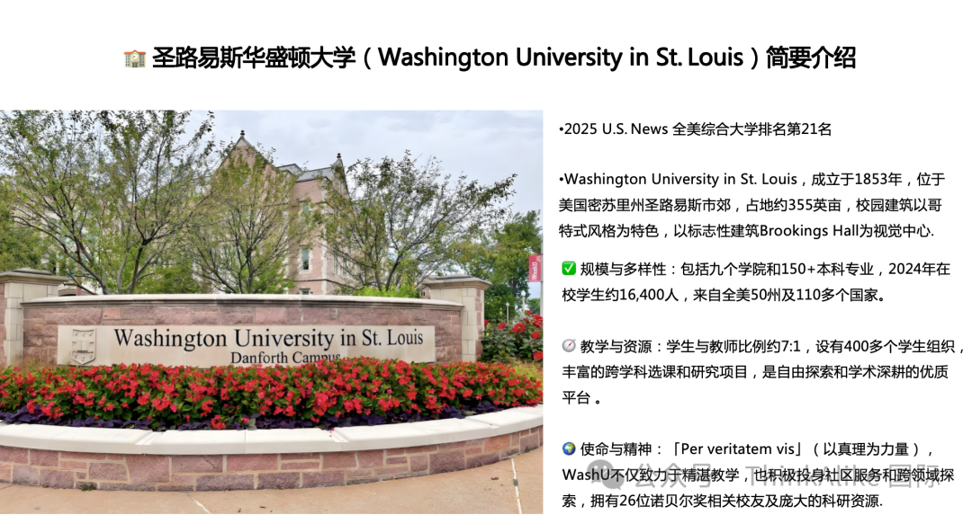 From Renmin University Affiliated High School to ICC, and then to WUSTL: I Finally Became Myself