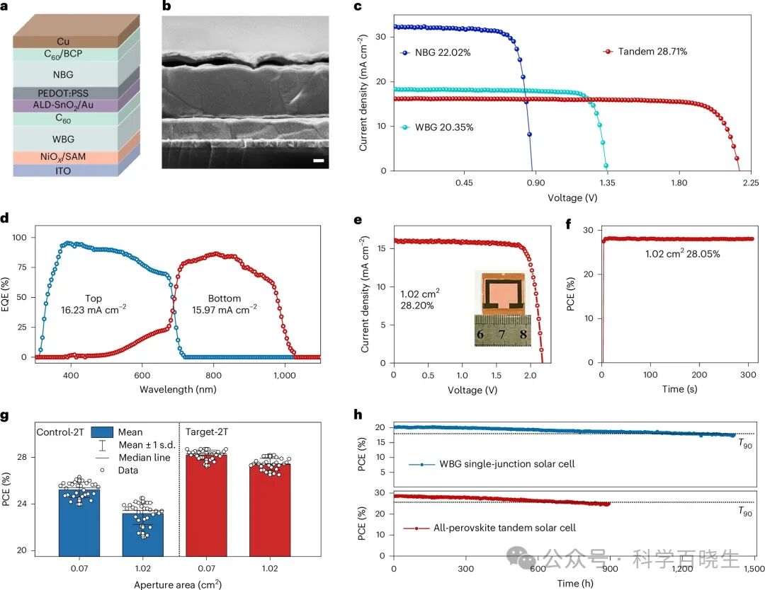 Wuhan University, Nature Nanotechnology!