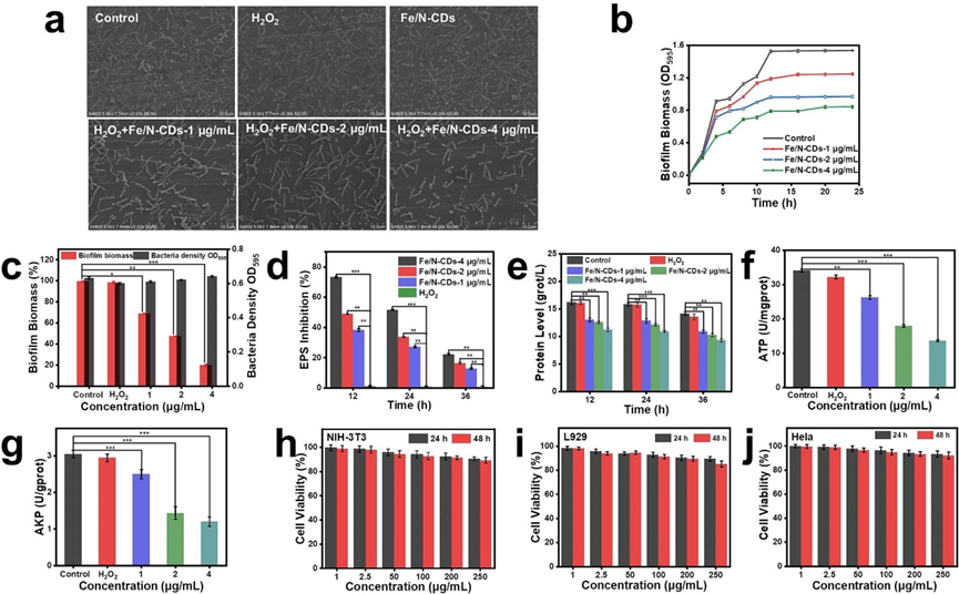 Literature Sharing | C.E.J | Fe/N-Doped Carbon Dots-Based Nanozyme with Super Peroxidase Activity, High Biocompatibility, and Antibiofilm Ability for Food Preservation