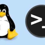 Basic Linux Commands and Common Symbols