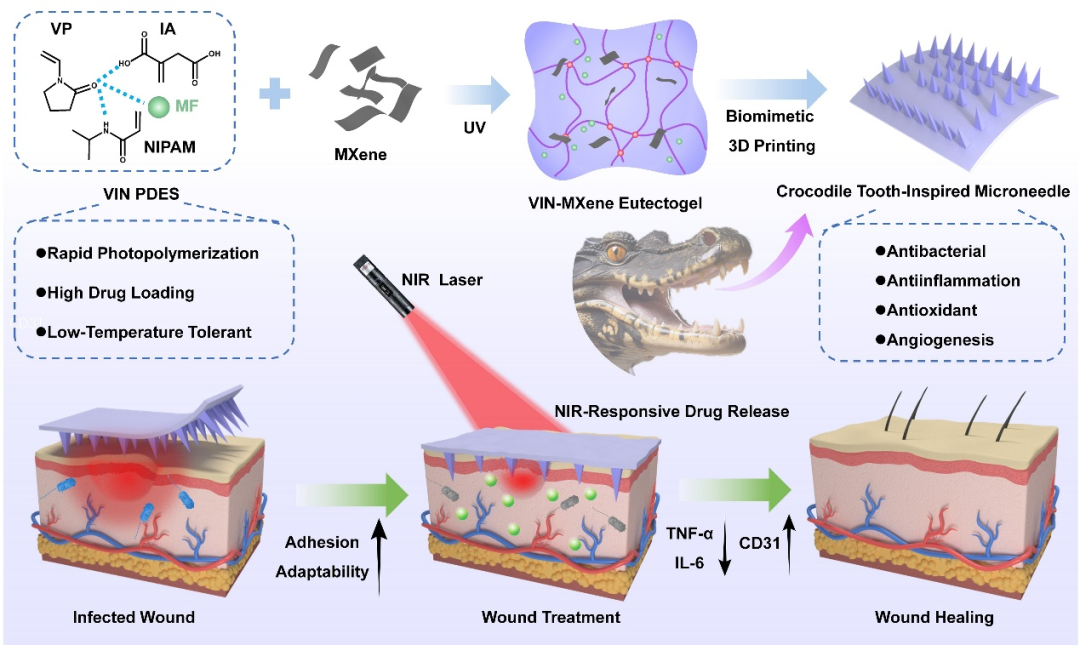 Bioinspired 3D-Printed NIR-Responsive MXene-Based Multifunctional Eutectogel Microneedles for Personalized Infected Wound Healing
