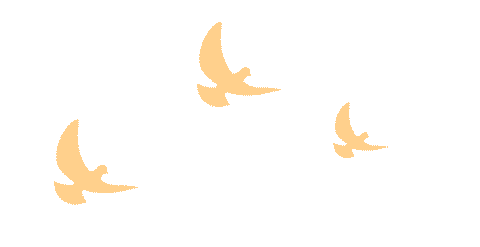 Party Building Leads to Collective Strength, Scientific Innovation Empowers Development