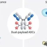 New Pathway for ADCs - Dual Payload ADCs