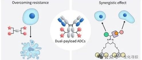 New Pathway for ADCs - Dual Payload ADCs