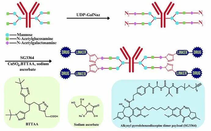 ADC and Click Chemistry