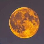 DANAMI-3-PRIMULTI Substudy—Cardiac Magnetic Resonance Confirms the Impact on Cardiac Structure and Function