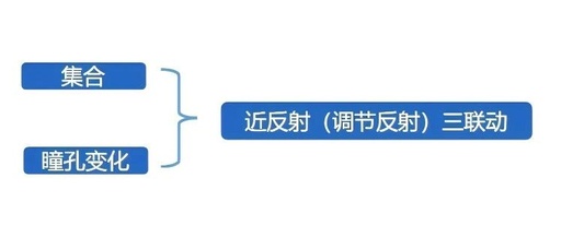 The Relationship Between Accommodation and Convergence: CA/C and AC/A and Their Examination Methods