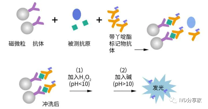 Principles of POCT Technology | Chemiluminescence, Biosensors, Microfluidics, Immunochromatography...