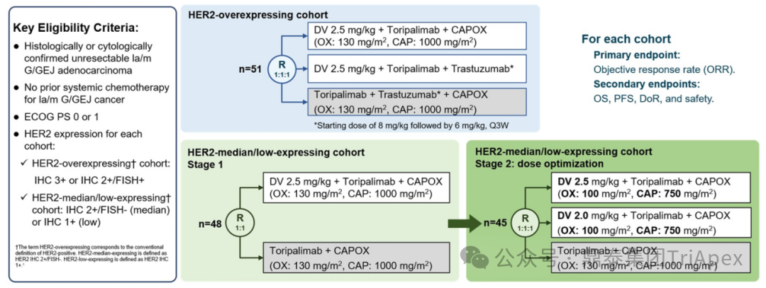 2025 ASCO Review: ADC Continues to Lead Cancer Treatment, Innovative Target Efficacy Begins to Show, Domestic Technology Platforms Achieve Multidimensional Breakthroughs