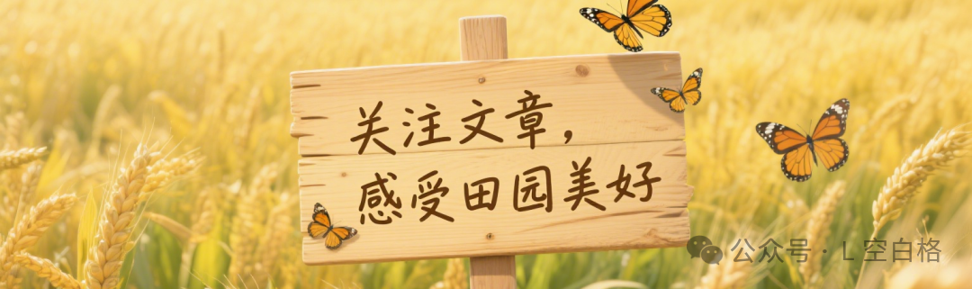 Smart Watches: Beyond Telling Time, Can They 'Read' Your Heart?