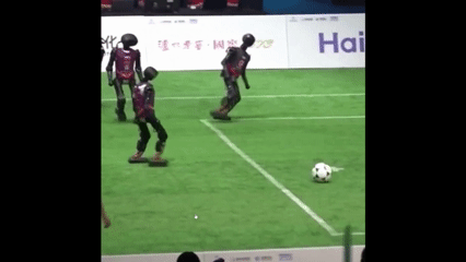AI Robots Play Soccer, and the MVP is Surprisingly the Stretcher...