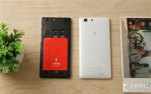 Red Pepper New National Monkey Sai Lei Review: A Good Entry-Level Choice