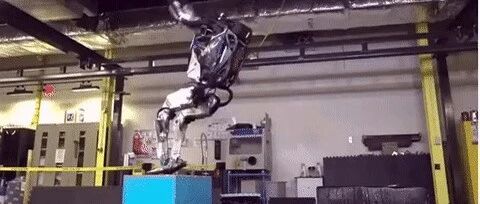 The Sensory Revolution in Robotics: How Four Major Sensor Companies Are Driving a New Wave of Embodied Intelligence