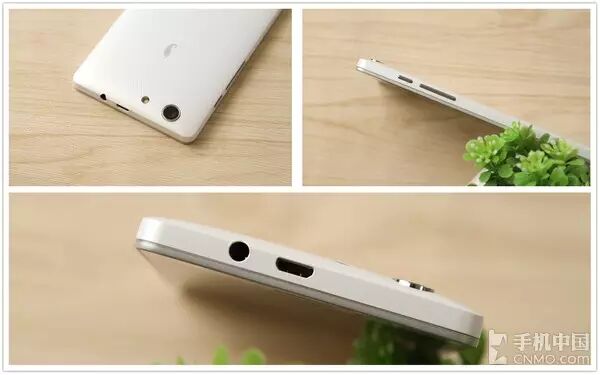 Red Pepper New National Monkey Sai Lei Review: A Good Entry-Level Choice