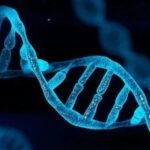 Understanding the 'Biological Chip' in the Digital World (Part 3): What Are We Building? | Atantares Technology's DNA Storage Products and Roadmap