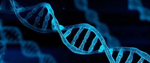 Understanding the 'Biological Chip' in the Digital World (Part 3): What Are We Building? | Atantares Technology's DNA Storage Products and Roadmap