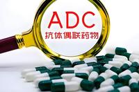 What are ADC Drugs?