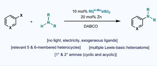 C-N Coupling of Brominated Heteroaromatic Compounds Catalyzed by Ni