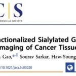 Literature Sharing | J. Am. Chem. Soc. | Functionalized Boron-Containing Pentacyclic Sialic Acid Probes for High-Fidelity Fluorescence Imaging of Cancer Tissues