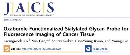 Literature Sharing | J. Am. Chem. Soc. | Functionalized Boron-Containing Pentacyclic Sialic Acid Probes for High-Fidelity Fluorescence Imaging of Cancer Tissues