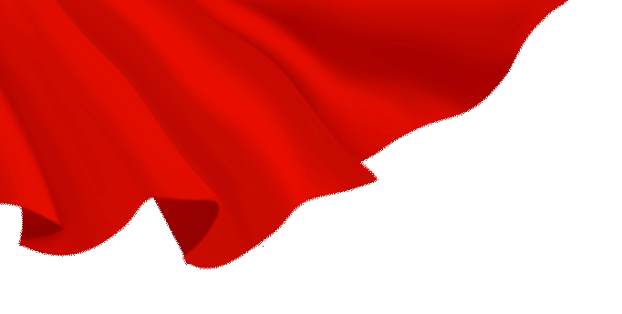 Party Building Leads to Collective Strength, Scientific Innovation Empowers Development