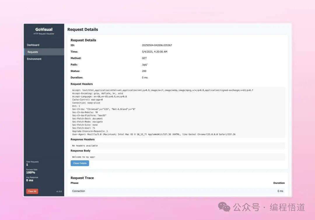 Go Language Development Tool: Zero Configuration HTTP Request Visualization and Debugging Tool