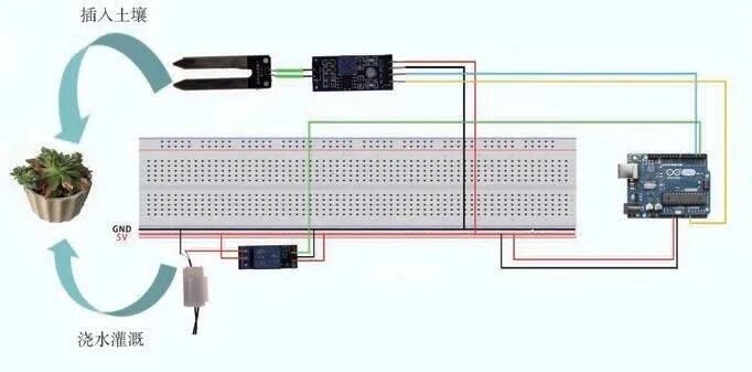 Hands-Free! Create a Simple Smart Watering System
