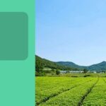 Rust: How Many Times Have You Given Up?