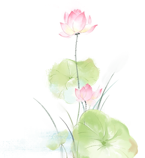 Embarking on a Micro:bit Journey to Ignite Youth Programming Dreams