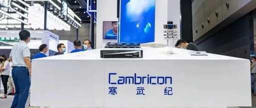 In-Depth Analysis of the AI Chip Industry Landscape in 2025: Cambricon vs. Huawei Ascend